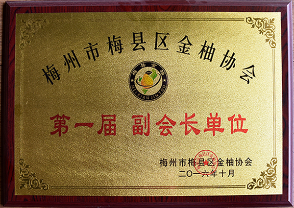 梅州市梅县区金柚协会第一届副会长单位